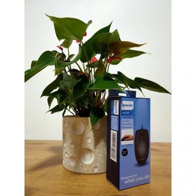 Chuột máy tính có dây MOUSE PHILIPS - Chính hãng Chuột máy tính có dây MOUSE PHILIPS - Chính hãng